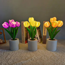 Last inn bildet i Galleri-visningsprogrammet, LED oppladbart tulipan nattlys
