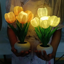 Last inn bildet i Galleri-visningsprogrammet, LED oppladbart tulipan nattlys
