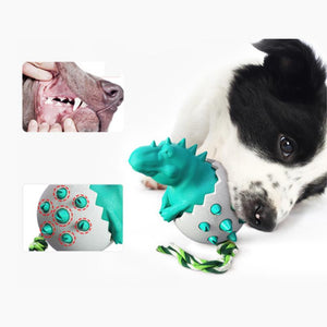 Dinosaur Egg Tyggeleke for Hunder