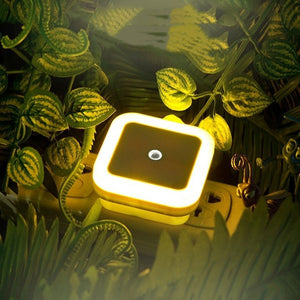 Lysaktivert sensor LED nattlys
