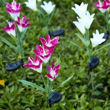 Last inn bildet i Galleri-visningsprogrammet, Soldrevet LED Blomstepinne Sett
