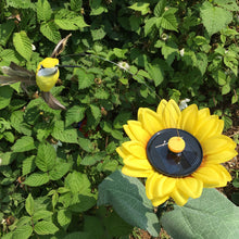 Last inn bildet i Galleri-visningsprogrammet, Dancing Hummingbird With Sunflower
