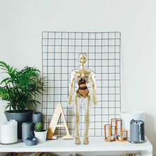 Last inn bildet i Galleri-visningsprogrammet, 3D menneskekropps torsomodell for Kid Anatomy Model Skjelett
