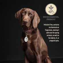 Last inn bildet i Galleri-visningsprogrammet, Ultrasonic Flea &amp; Tick Repeller
