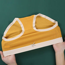 Last inn bildet i Galleri-visningsprogrammet, Ladies Modal Mid Waist Antibacterial Underwear
