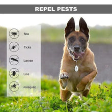 Last inn bildet i Galleri-visningsprogrammet, Ultrasonic Flea &amp; Tick Repeller
