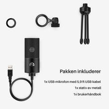 Last inn bildet i Galleri-visningsprogrammet, USB-opptak mikrofon
