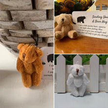 Last inn bildet i Galleri-visningsprogrammet, En liten lommebjørneklem
