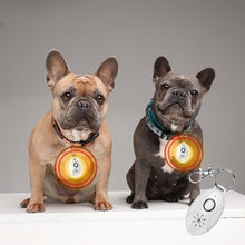 Last inn bildet i Galleri-visningsprogrammet, Ultrasonic Flea &amp; Tick Repeller

